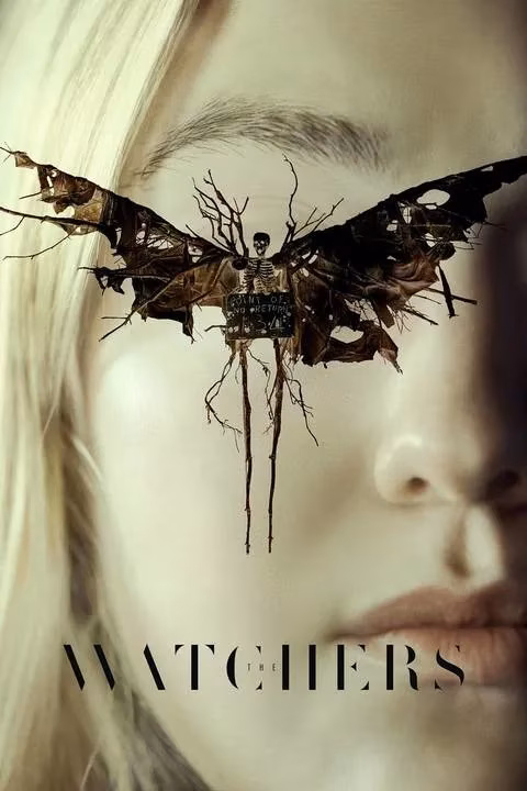 the-watchers-a-2026-field-guide-to-ireland-s-spookiest-film-set-image-3
