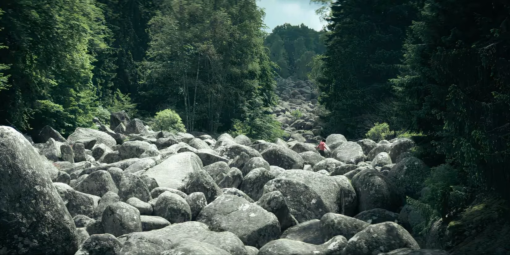 where-was-netflix-s-don-t-move-actually-filmed-image-2